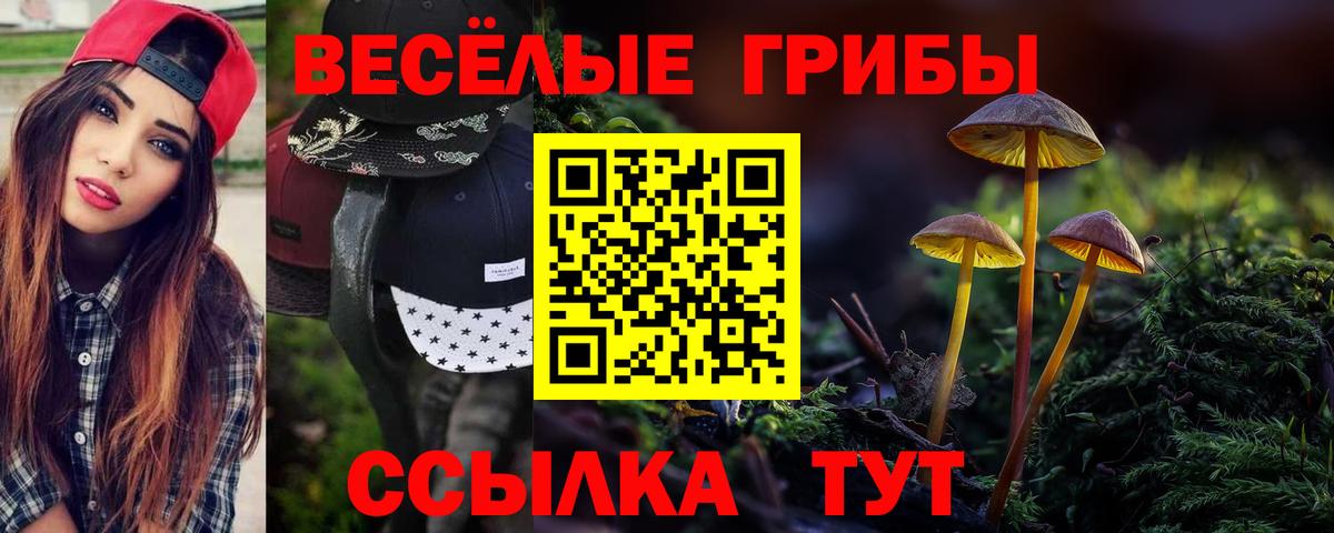 Галлюциногенные грибы Magic Shrooms Зерноград